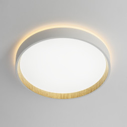 Потолочный светильник Citilux CL750240 ETALON