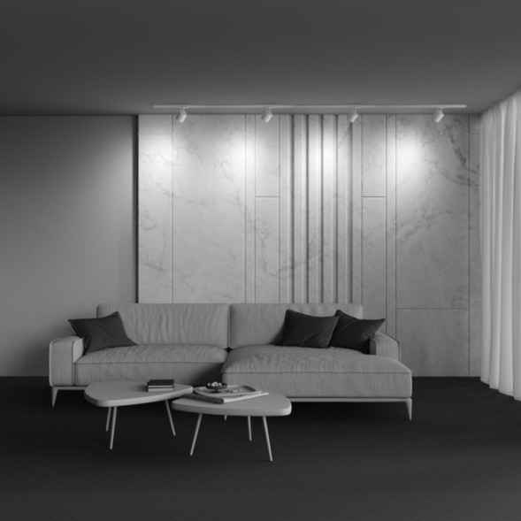 Трековый светильник Maytoni Technical POLAR TR088-1-GX53-W