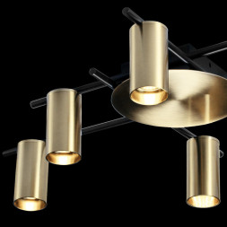 Потолочная люстра LOFT IT Tribes 8120C-6