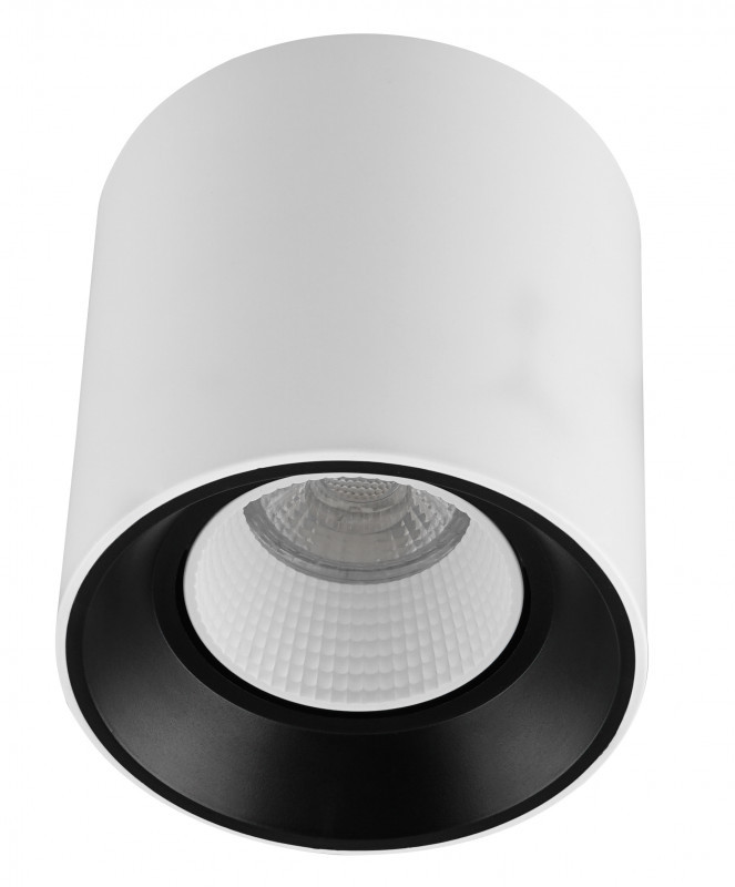 Накладной точечный светильник Denkirs Rodvig DK3090-WB+WH