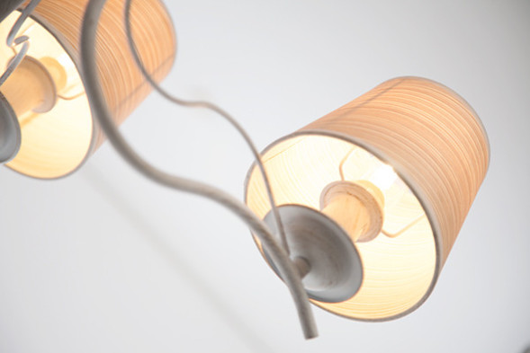 Подвесная люстра Eurosvet SUNSET 60027/5 белый с золотом