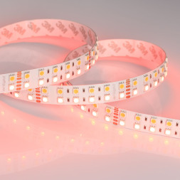 Лента Arlight RT-B144-19mm 5060 018144(2) 160W 24V 9000lm RGB+белый IP20