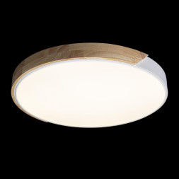 Потолочный светильник LOFT IT AXEL 10004/36 White