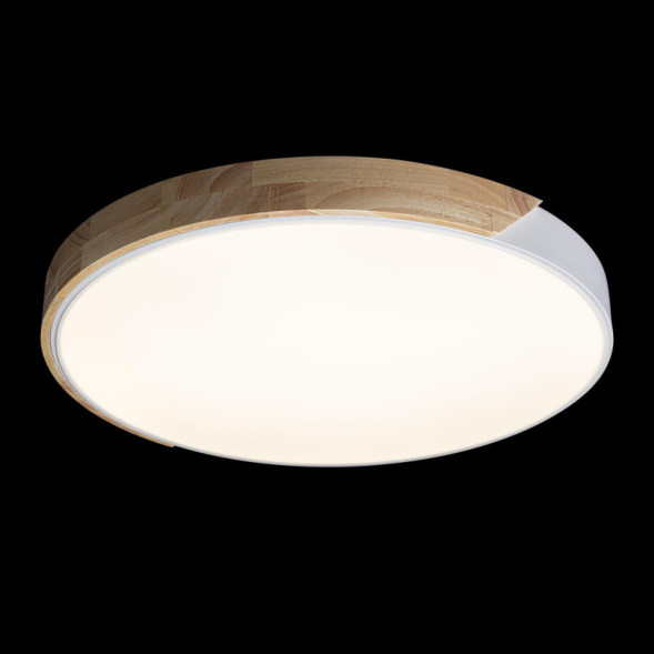 Потолочный светильник LOFT IT AXEL 10004/36 White