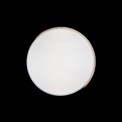 Потолочный светильник LOFT IT AXEL 10004/36 White