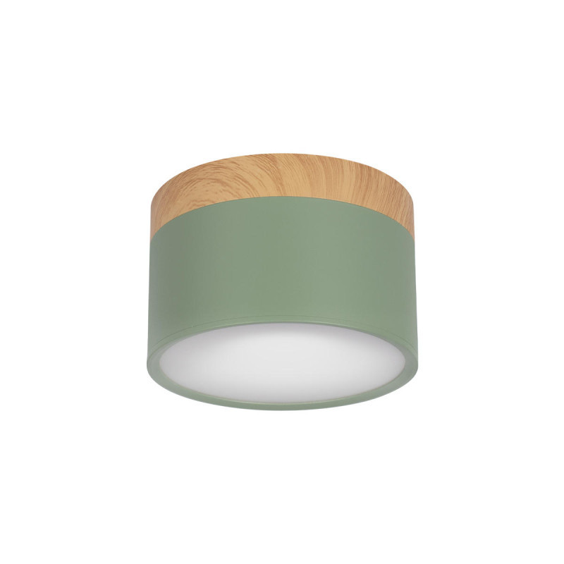 Детский точечный светильник LOFT IT Grape 10162 Green