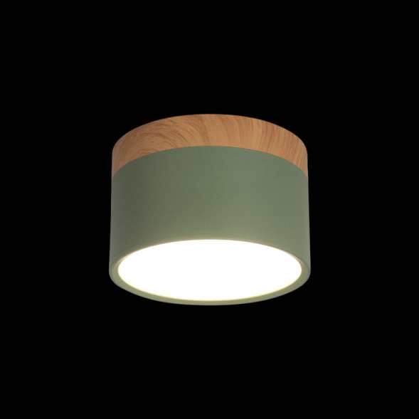 Детский точечный светильник LOFT IT Grape 10162 Green