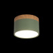 Детский точечный светильник LOFT IT Grape 10162 Green