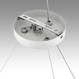 Подвесная люстра LUMION LUAZANA 8254/9