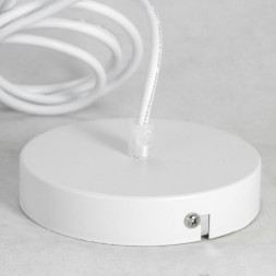 Подвесной светильник Lussole DOVE LSP-8220