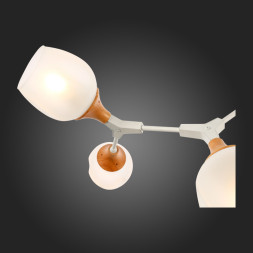 Люстра на штанге Evoluce CIOTOLLA SLE113502-05