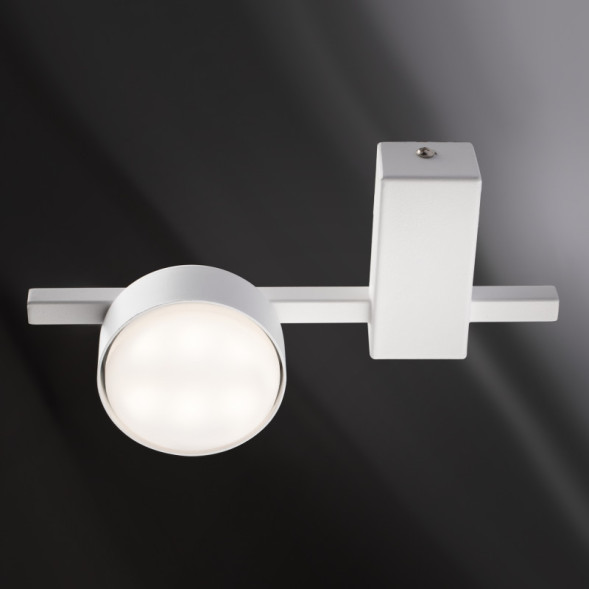 Потолочный светильник Freya Tactic FR5363CL-01W