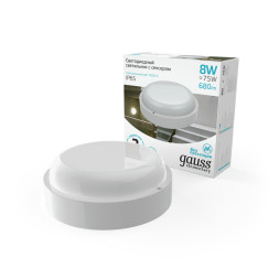Пылевлагозащищенный светильник Gauss ЖКХ Gauss Elementary 126411208-S