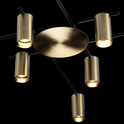 Потолочная люстра LOFT IT Tribes 8120C-8