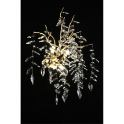 Бра APLOYT APL.847.01.03 Gertunia