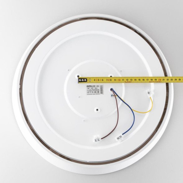 Потолочный светильник Citilux Bonny CL754350G