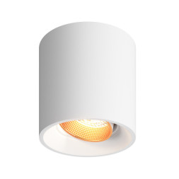 Накладной точечный светильник Denkirs Rodvig DK3090-WBR