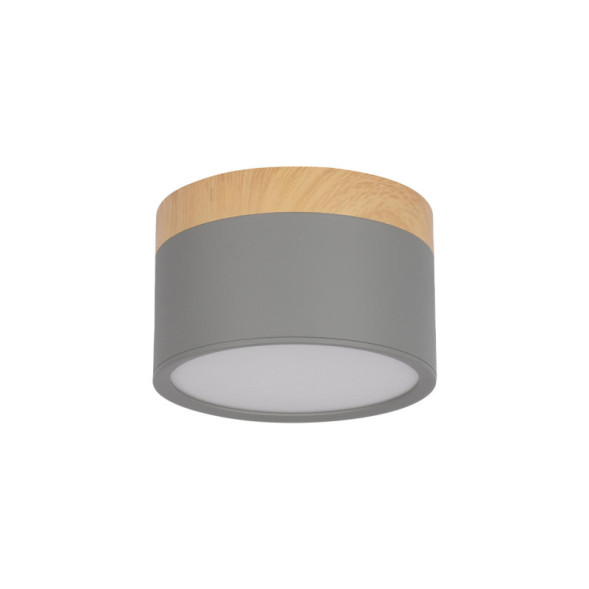 Детский точечный светильник LOFT IT Grape 10162 Grey