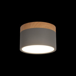 Детский точечный светильник LOFT IT Grape 10162 Grey