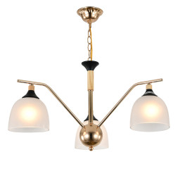 Подвесной светильник Escada ACTINIDIA 2123/3P