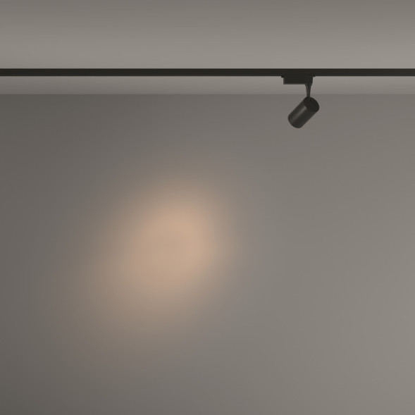 Светодиодный трековый светильник Maytoni Technical TR003-1-6W3K-S-B Vuoro