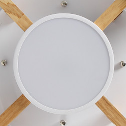 Потолочная люстра ImperiumLoft 101699-26