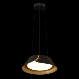 Подвесной светильник LOFT IT LANE 10370P Black