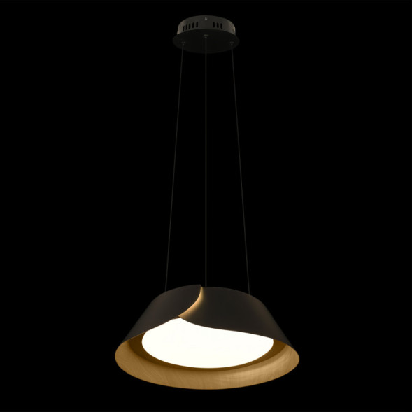 Подвесной светильник LOFT IT LANE 10370P Black