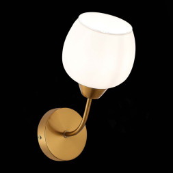 Бра Evoluce TRATTI SLE1136-301-01