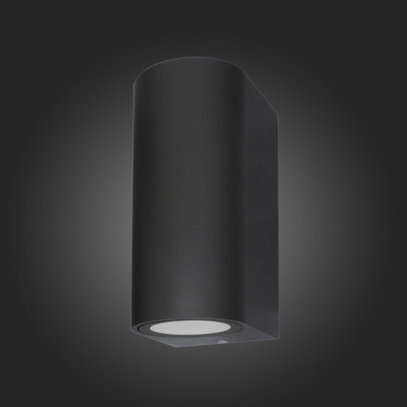 Уличный настенный светильник ST-Luce BORGO SL9001.401.02