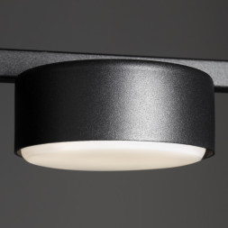 Потолочный светильник Freya Tactic FR5363CL-02B