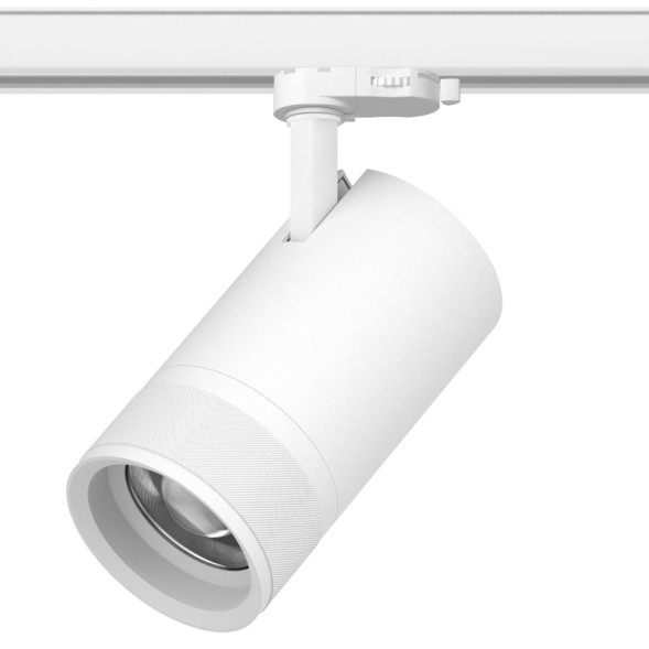 Трековый светильник C4406QT Lightstar Canno Pro