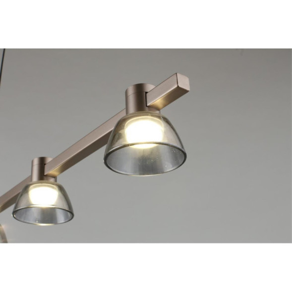 Подвесная люстра APLOYT APL.788.03.06 Rezeda