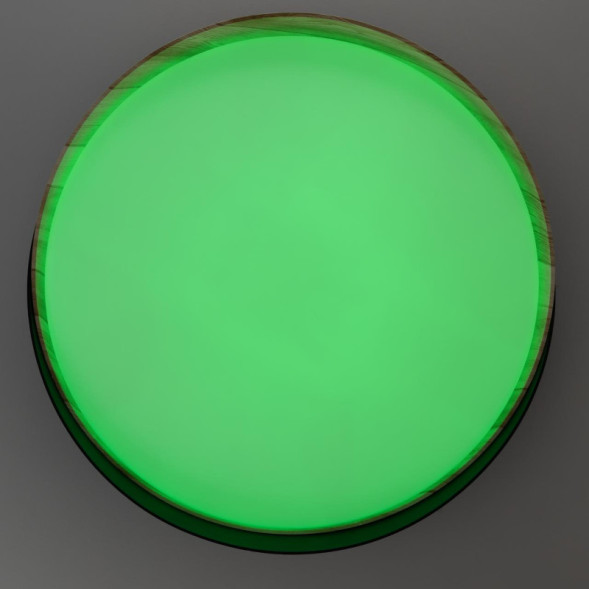 Потолочный светильник Citilux Bonny CL754351G