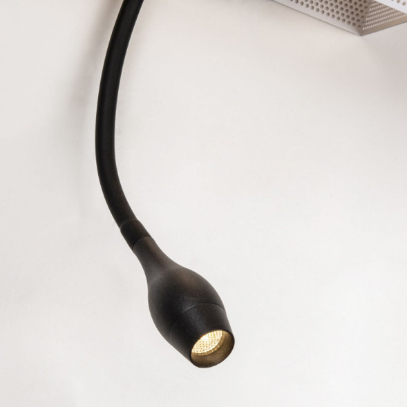 Бра Favourite TWIN 4066-2W