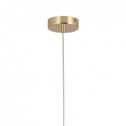 Подвесной светильник F-Promo 2913-1P MARS