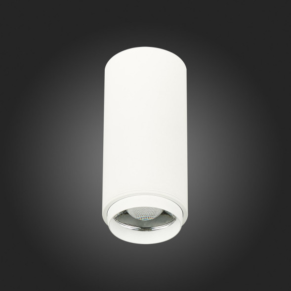 Накладной точечный светильник ST-Luce ZOOM ST600.542.10