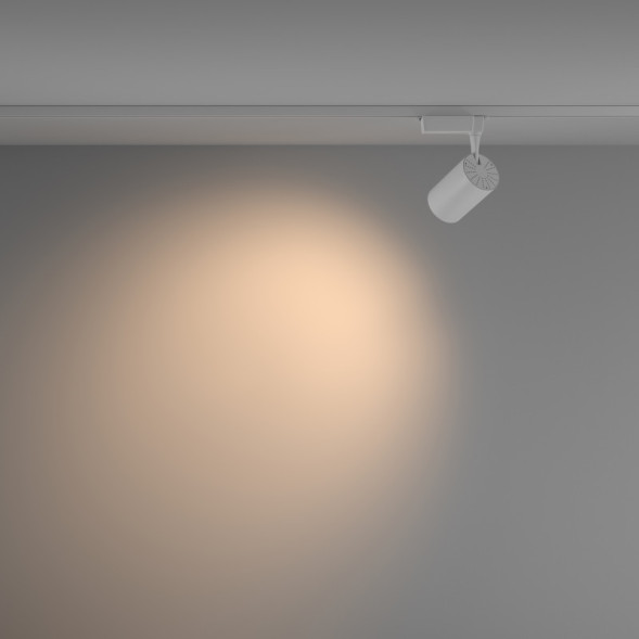 Светодиодный трековый светильник Maytoni Technical Vuoro TR003-1-15W3K-W-W