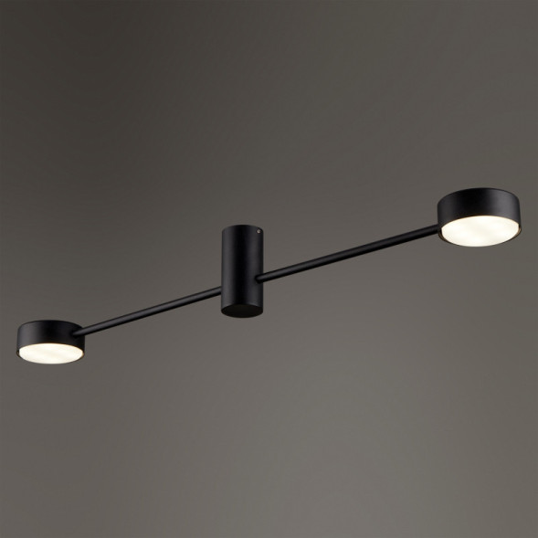 Потолочный светильник Freya Tactic FR5363CL-02B1