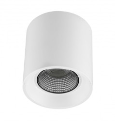 Накладной точечный светильник Denkirs Rodvig DK3090-WH+CH