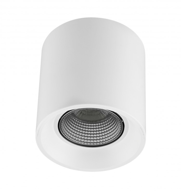 Накладной точечный светильник Denkirs Rodvig DK3090-WH+CH