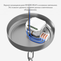 Wi-Fi реле Denkirs Relay RL1001-SM