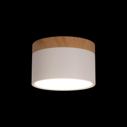 Детский точечный светильник LOFT IT Grape 10162 White