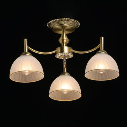 Потолочная люстра MW-Light Olimp 318015503