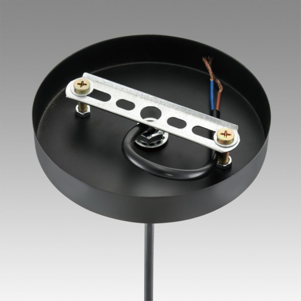 Подвесной светильник LUMION LEONELA 8052/1А