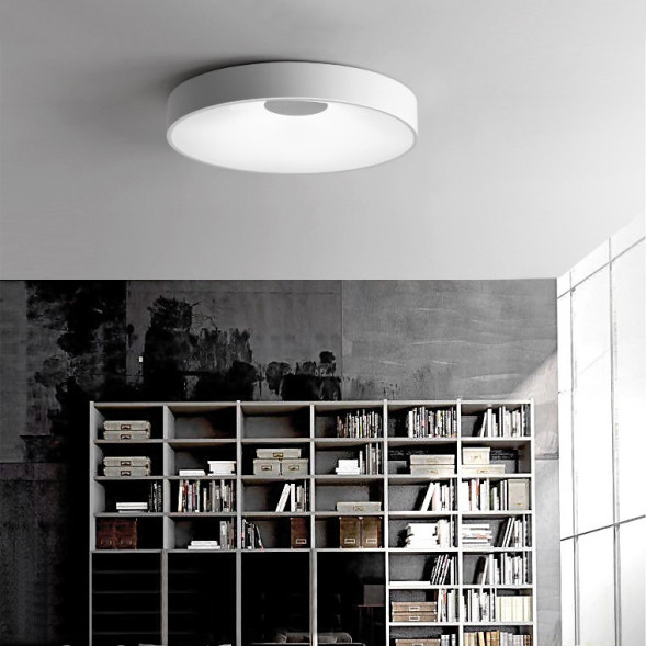 Потолочный светильник ImperiumLoft 101547-26