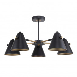 Люстра на штанге F-Promo Rigor 2844-5P