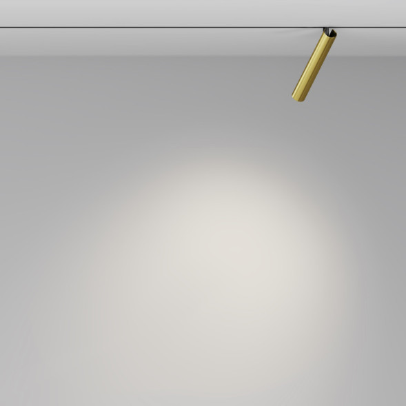 Магнитный трековый светильник Maytoni Technical Focus T TR141-2-6W4K-M-BS