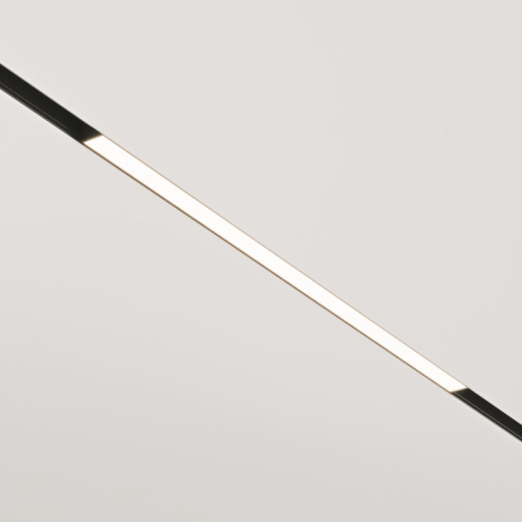 Магнитный трековый светильник Maytoni Technical BASIS TR030-2-24W4K-B