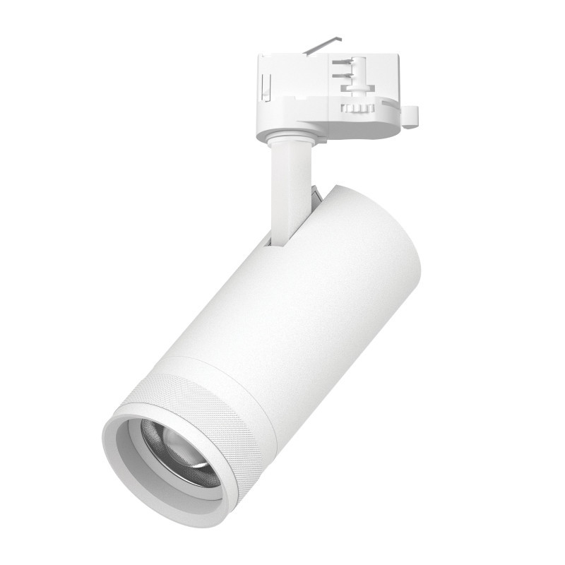 Трековый светильник C4206QT Lightstar Canno Pro